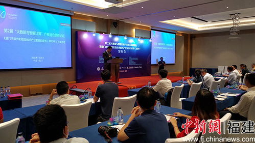 廈門軟件業發展白皮書發布 去年收入占全省半壁江山，電子產品銷售表現亮眼